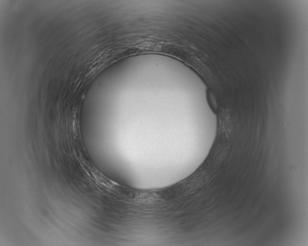 X0000077371154200610201007