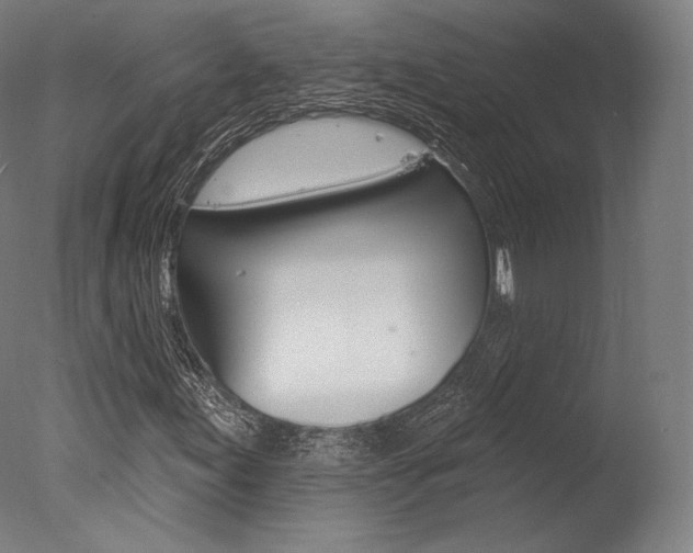 X0000077371155200610201007