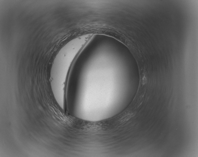 X0000077371156200610201007