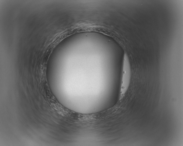 X0000077371157200610201007