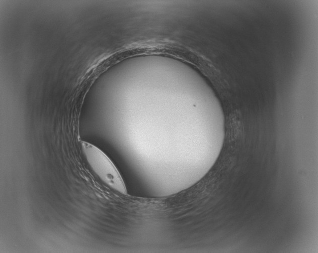 X0000077371158200610201007