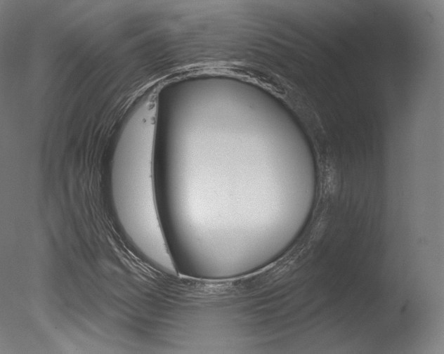 X0000077371161200610201007