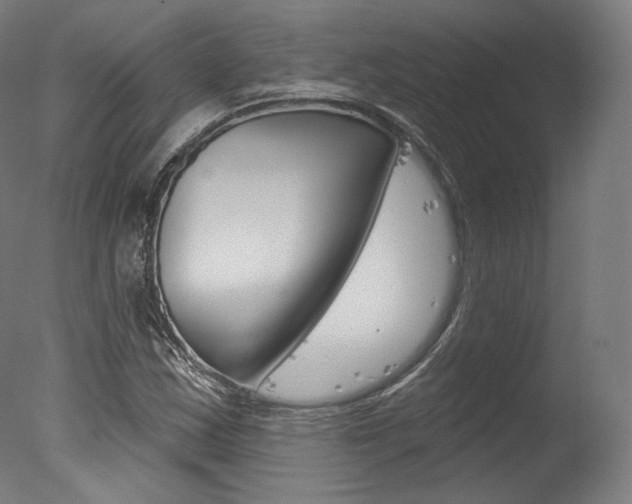 X0000077371163200610201007