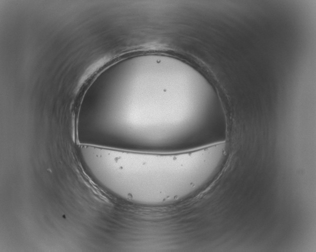 X0000077371171200610201006