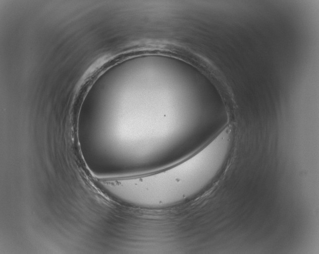 X0000077371172200610201006
