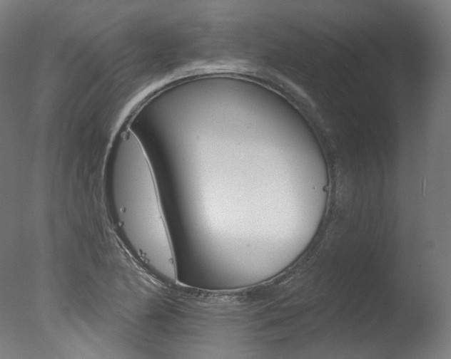 X0000077371174200610201006