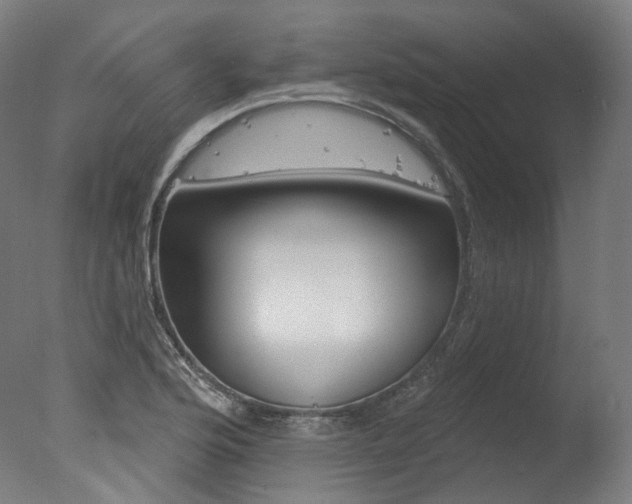 X0000077371176200610201006