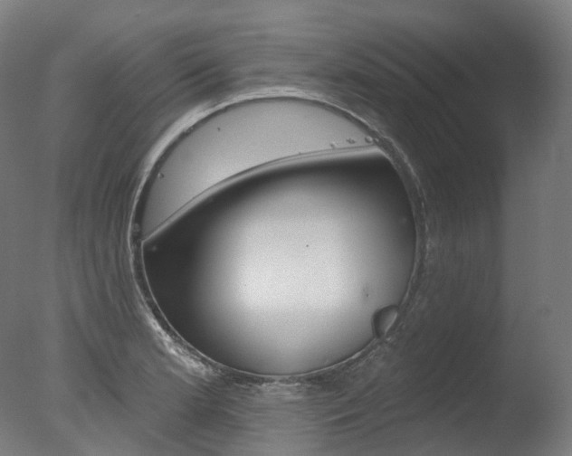 X0000077371181200610201006