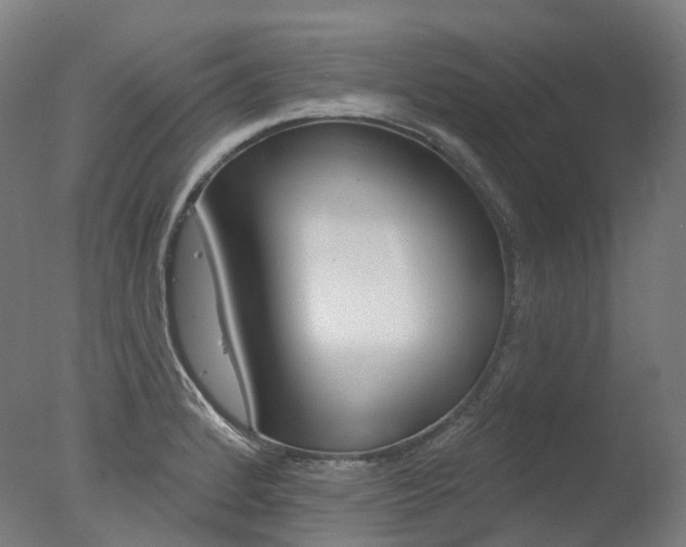 X0000077371184200610201006