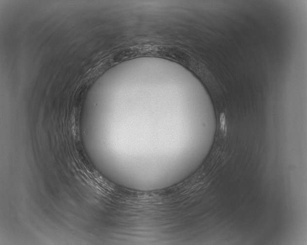 X0000077371203200610201005