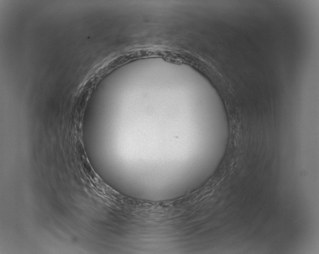 X0000077371207200610201005