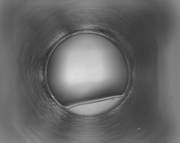 X0000077371209200610201005