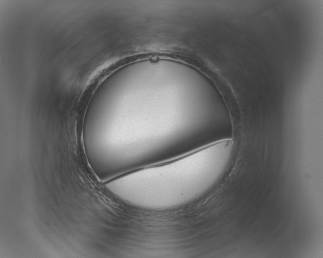 X0000077371214200610201005