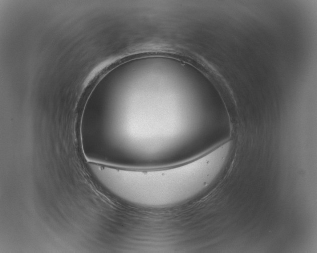 X0000077371222200610201006