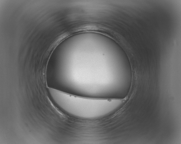 X0000077371225200610201006