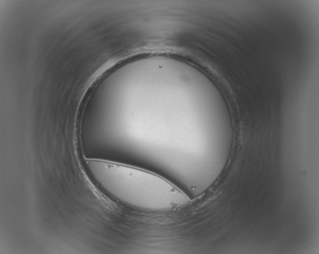 X0000077371229200610201006