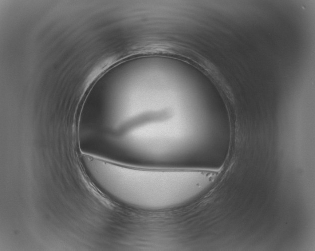 X0000077371234200610201006