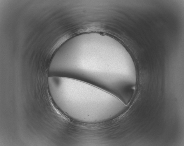 X0000077371241200610201006