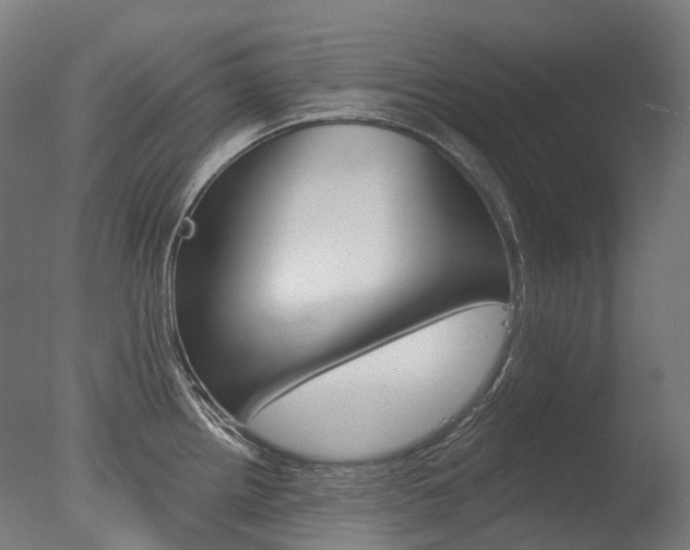 X0000077371242200610201006