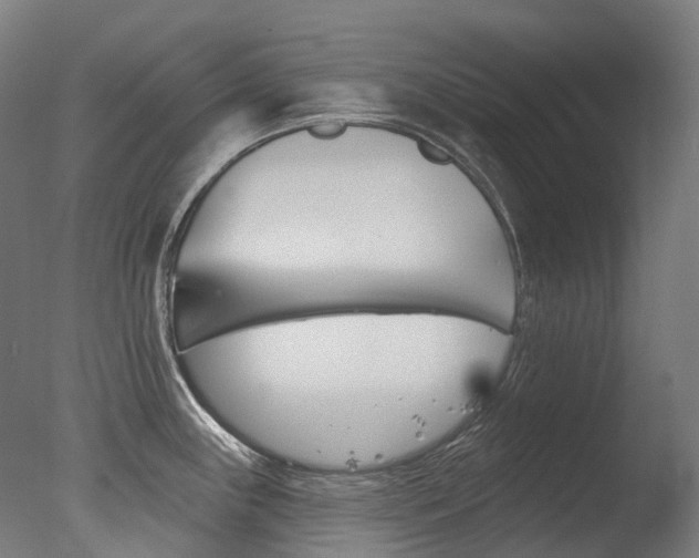 X0000077371243200610201006