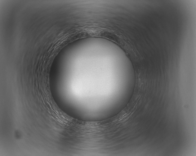 X0000077371249200610201005