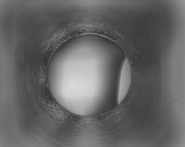 X0000077371253200610201005
