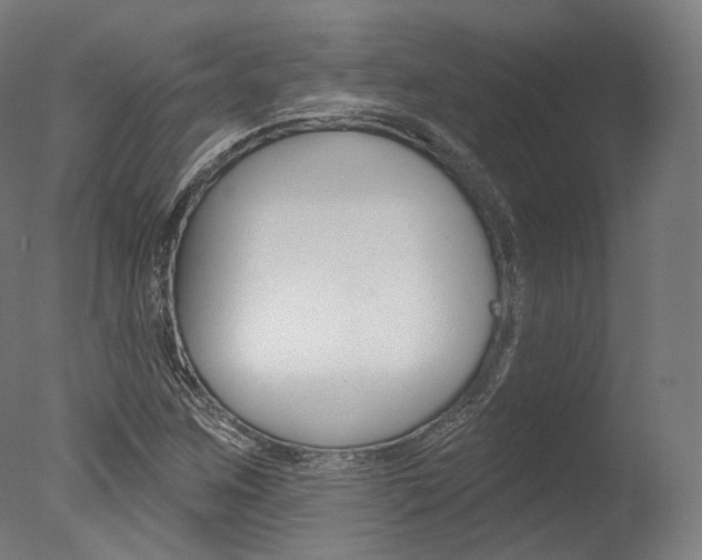 X0000077371259200610201005