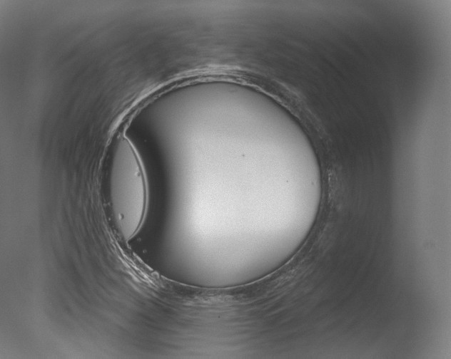 X0000077371260200610201005