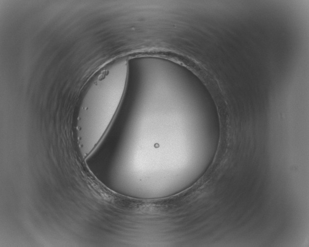 X0000077371265200610201005