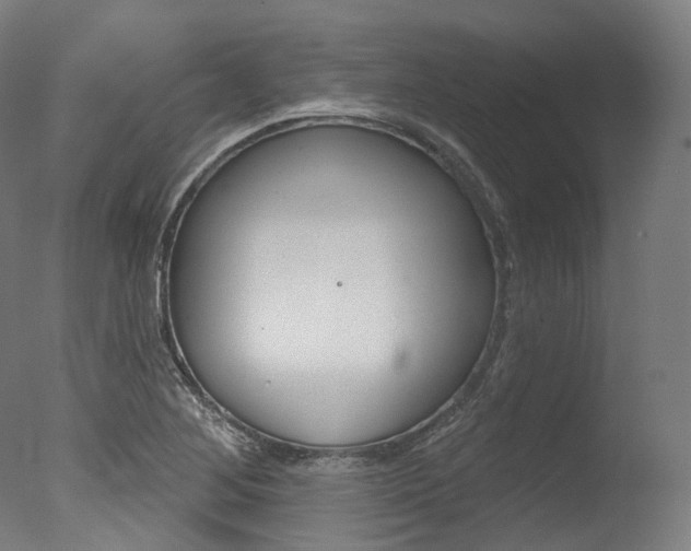 X0000077371268200610201005