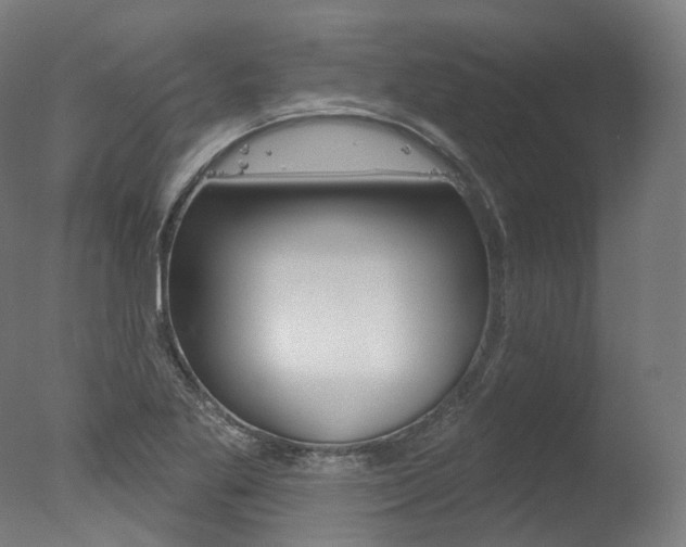 X0000077371269200610201005