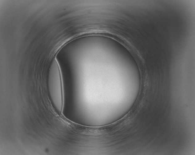 X0000077371273200610201005