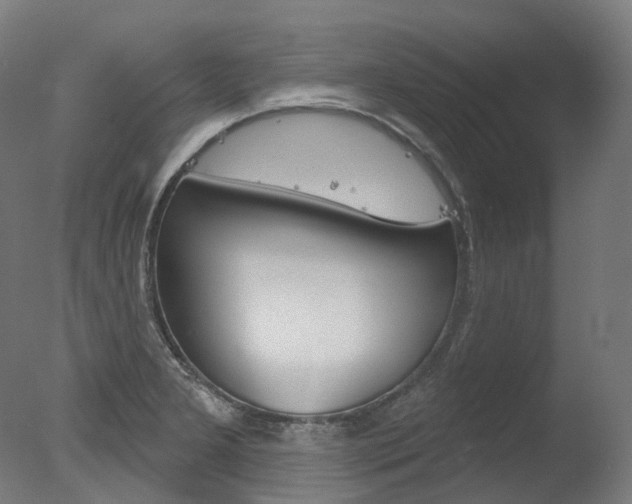 X0000077371277200610201005