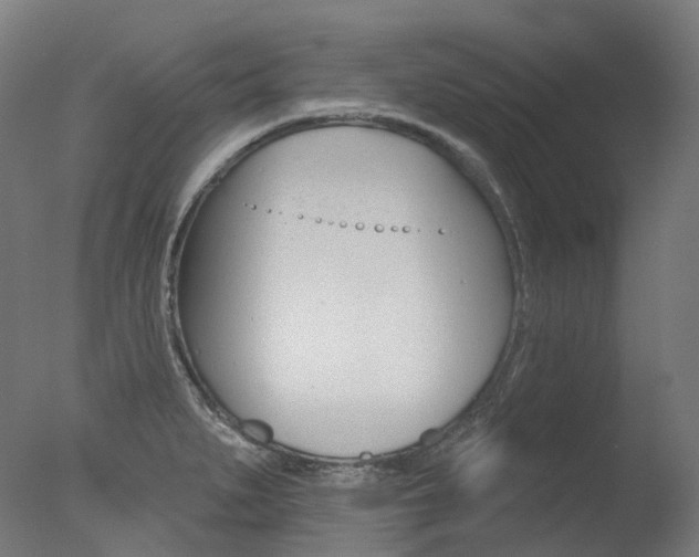 X0000077371279200610201005