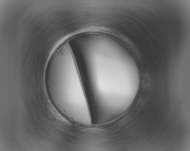 X0000077371280200610201005