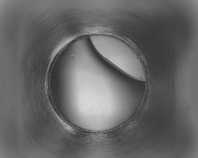 X0000077371285200610201005