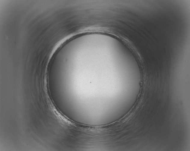 X0000077371288200610201004