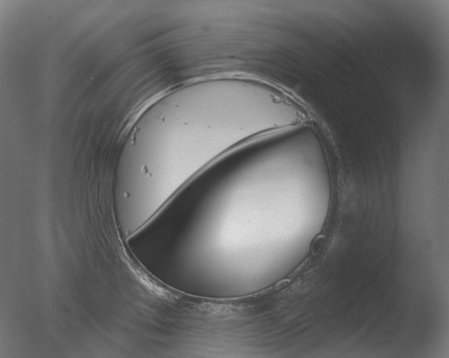 X0000077371289200610201004