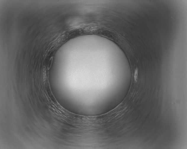 X0000077371299200610201004