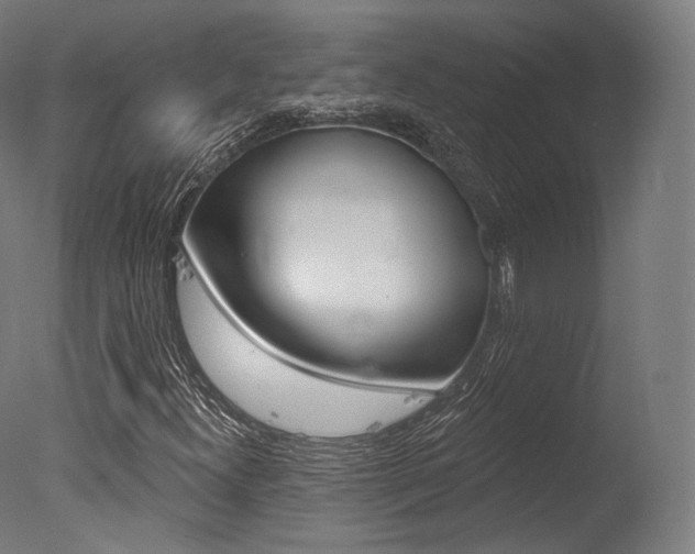 X0000077371300200610201004
