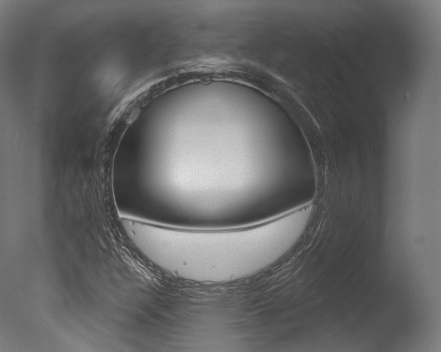 X0000077371304200610201004