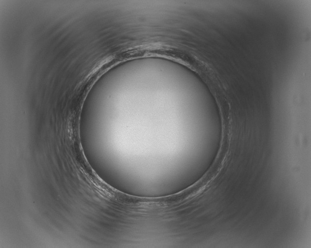 X0000077371305200610201004