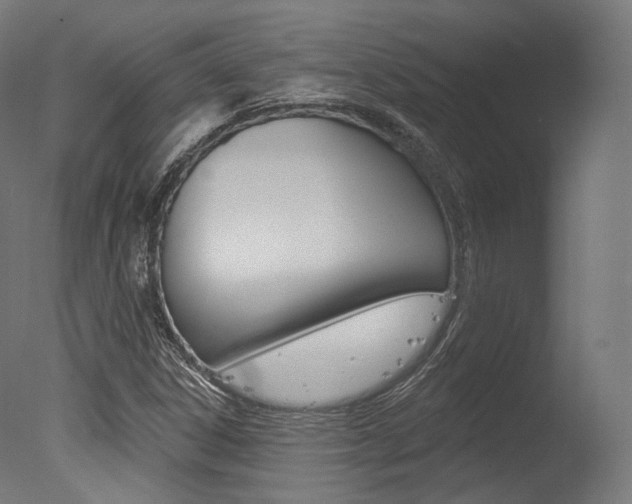X0000077371306200610201004