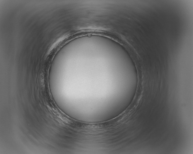 X0000077371307200610201004
