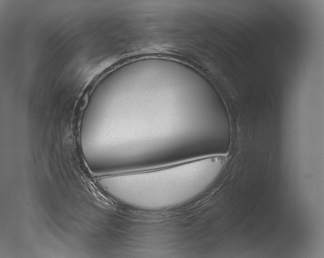 X0000077371308200610201004
