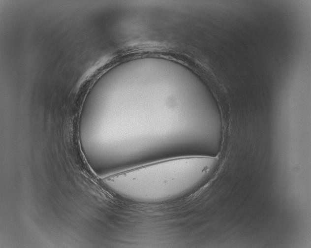 X0000077371309200610201004