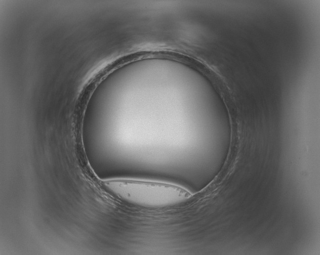 X0000077371311200610201004