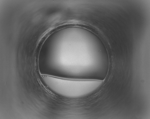 X0000077371318200610201004