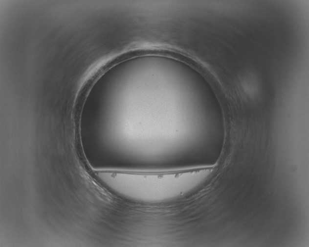 X0000077371319200610201004