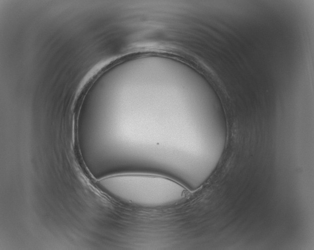 X0000077371323200610201004